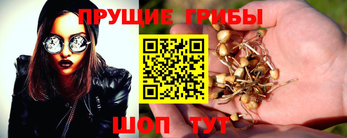 Троицк  Галлюциногенные грибы Psilocybine cubensis  Вход с VPN  Псилоцибиновые грибы Cubensis 